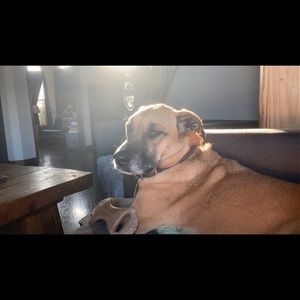 Meet your Posher, Kate